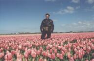 t_tulpen06.jpg (5412 Byte)